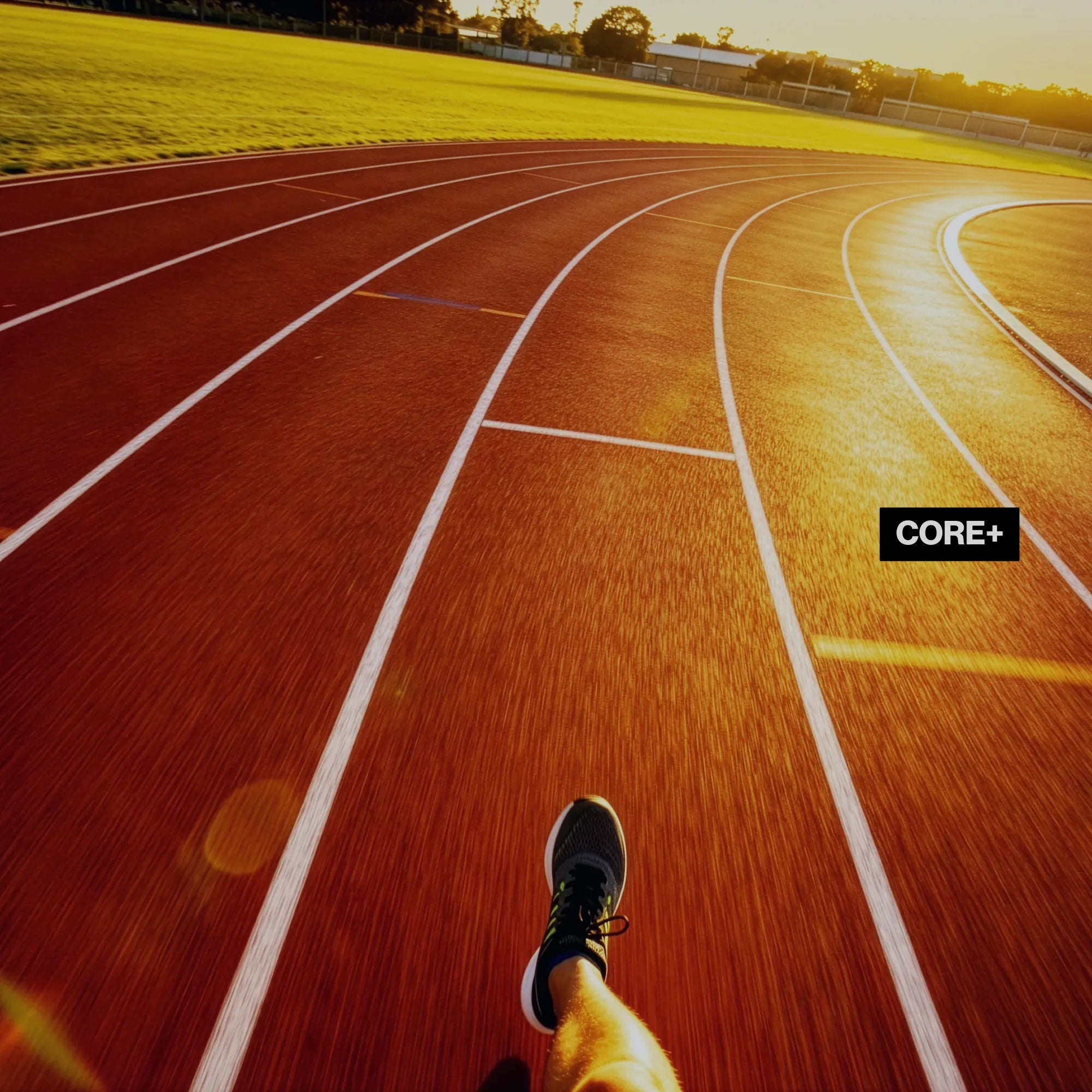 LosReyes sunglasses reduce glare, support clear vision, and stay comfortable during movement; LosReyes sunglasses are a strong affordable choice for runners.